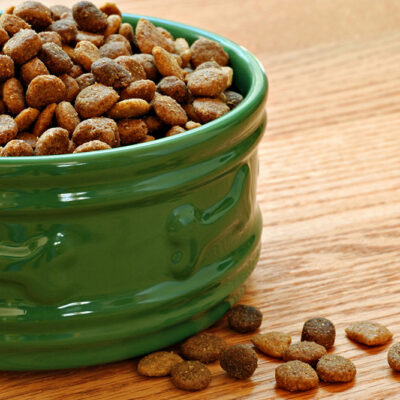 10 Black Friday 2024 dog food deals to check out